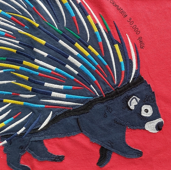 2021 nwt Mini Boden porcupine tee 11-12 years - Picture 8 of 14
